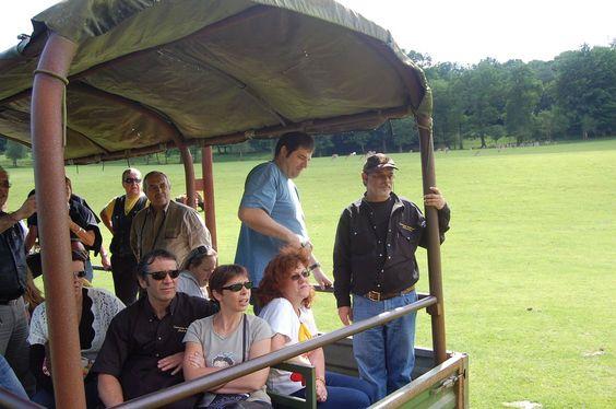 DSC_0058 [50%] [50%].JPG